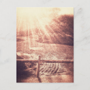 Zen Garden Postcard