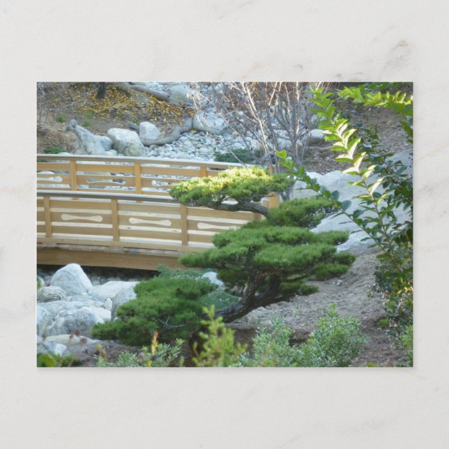 Zen Garden Postcard (Front)