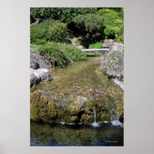 Zen Garden Poster