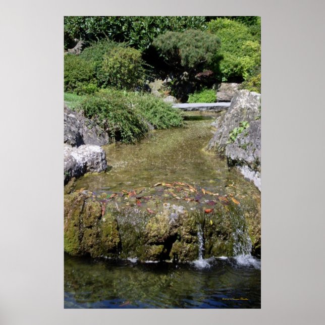 Zen Garden Poster (Front)
