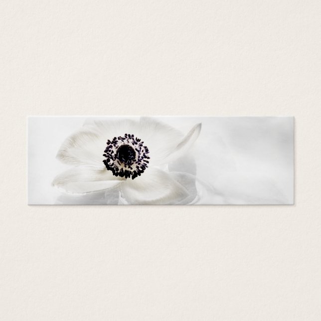 Zen High Key White Anemone on Water Background (Front)