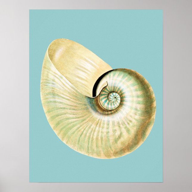 Zen Inspired Beach Theme Poster (Front)