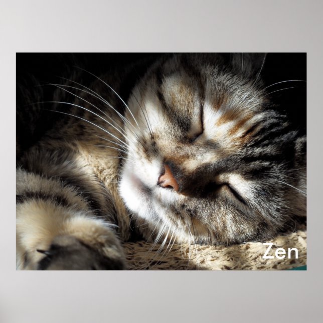 Zen Kitty Poster (Front)