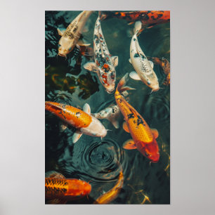 Zen Koi Fish Poster: 31 Nine 2 Koi Fishes Swimming Poster