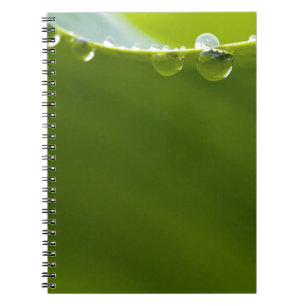 Zen Love Green Lotus Leaf Water Drop Spiral Notebook