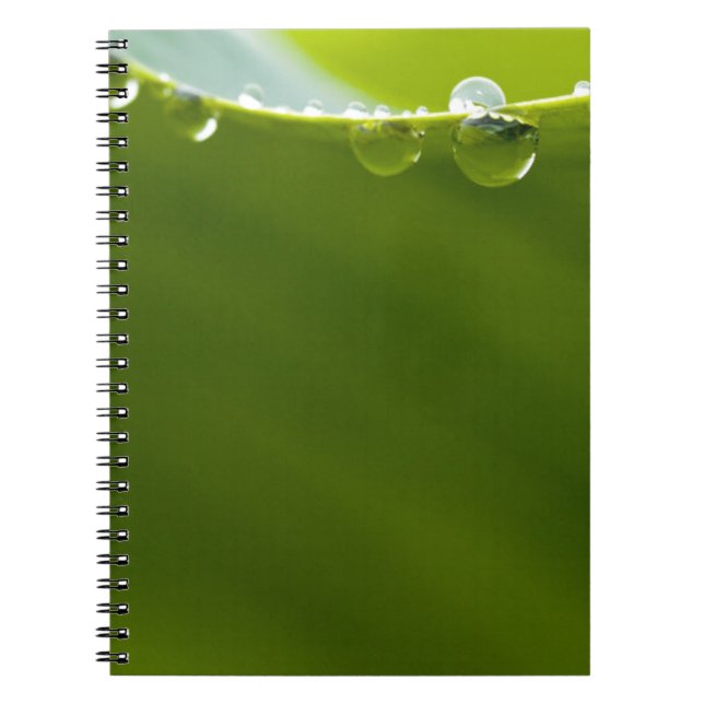 Zen Love Green Lotus Leaf  Water Drop Spiral Notebook (Front)