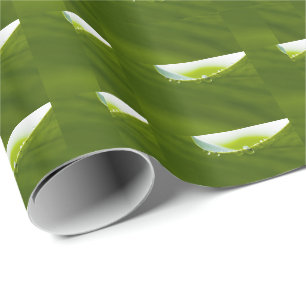 Zen Love Green Lotus Leaf Water Drop Wrapping Paper