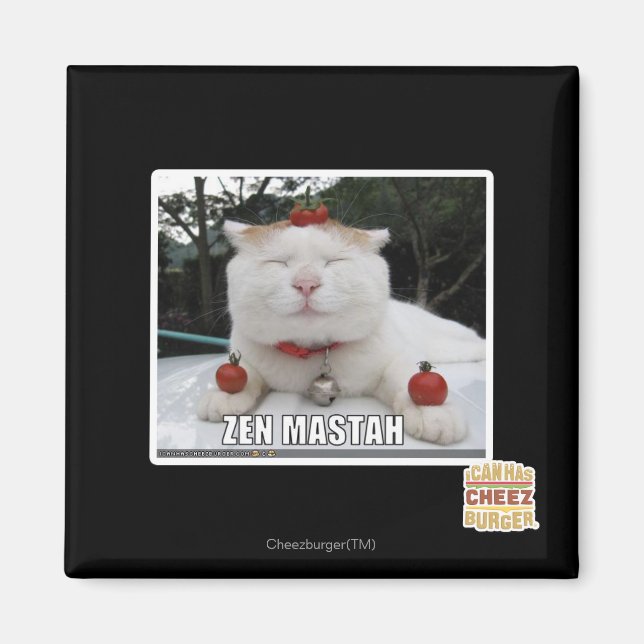 Zen Mastah Magnet (Front)