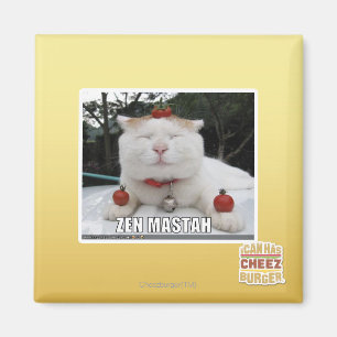 Zen Mastah Magnet