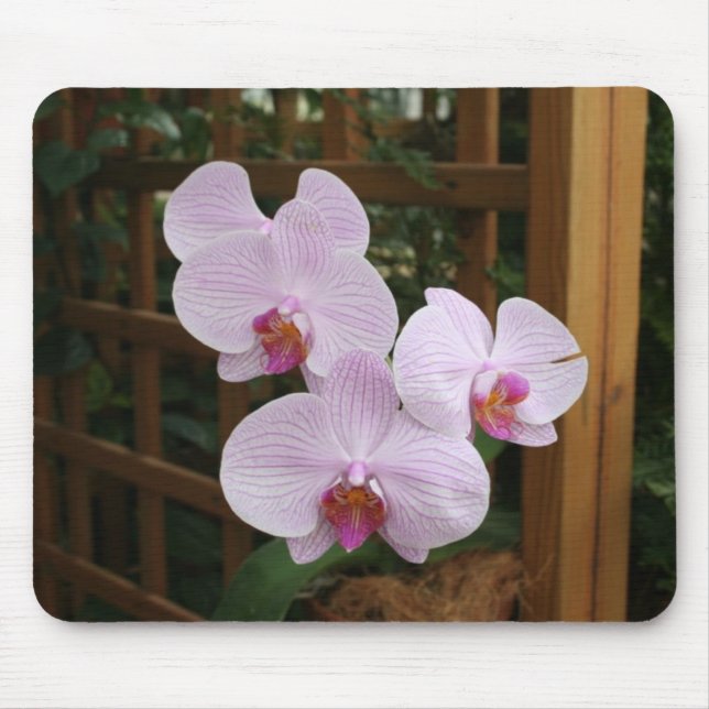 Zen orchids mouse pad (Front)