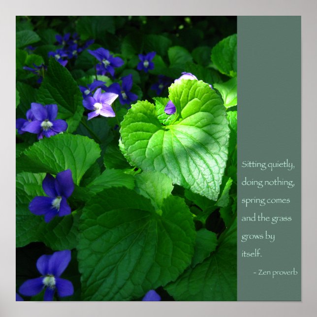 Zen Proverb Quote Poster (Front)