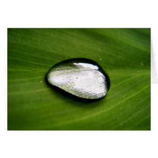 Zen Rain Drop Card