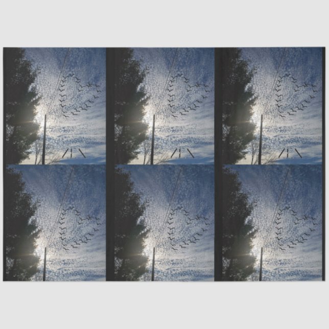 ZEN TISSUE PAPER (Front)