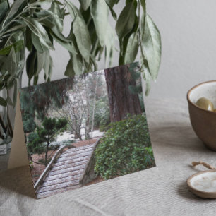 Zen Winter Garden Landscape Holiday Card