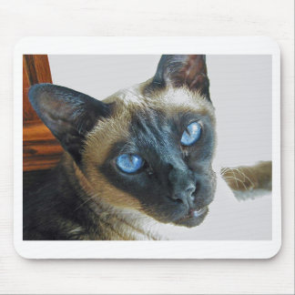 ZenaLrg_7_20_05_edited-1 Mouse Pad