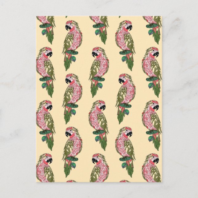Zentangle Style Parrots 2 Postcard (Front)