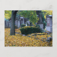 Zentralfriedhof