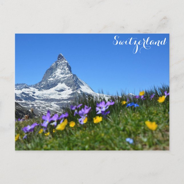 Zermatt Matterhorn Switzerland Swiss Alps Postcard (Front)