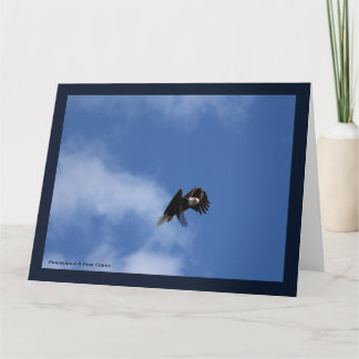 Zeroing in on the Catch Card