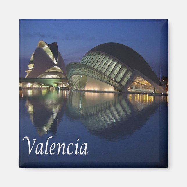 zES100 VALENCIA panorama, Spain, Fridge Magnet (Front)