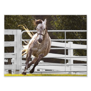 Zest For Life Photo Print