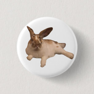 Zesty Paddy Badge