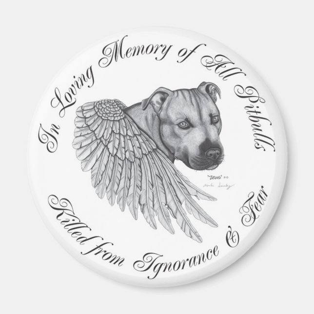 Zeus angel magnet (Front)