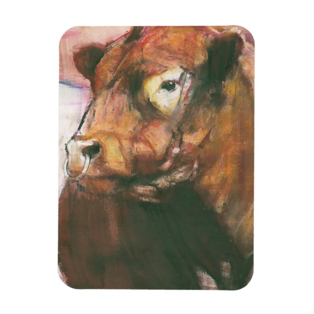 Zeus Red Belted Galloway Bull 2006  2 Magnet (Vertical)