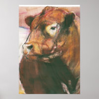 Zeus Red Belted Galloway Bull 2006  2