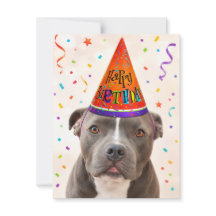 Zeus Rescue Dog Happy Birthday Postcard