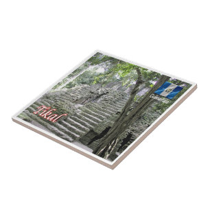 zGT012 TIKAL National Park, Guatemala, Tile