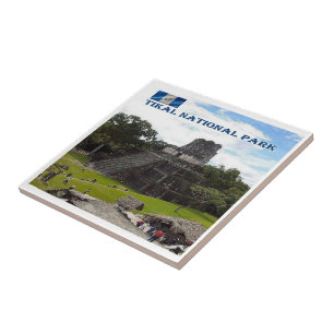 zGT016 TIKAL National Park, Guatemala, Tile