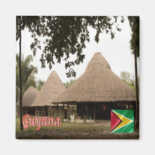 zGY006 GUYANA, Houses in Guyana, America, Fridge Magnet