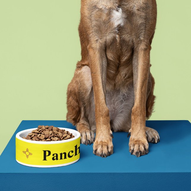 Zia Sun  (Creator Uploaded)