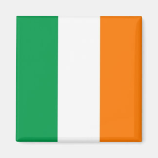 zIE001 Irish FLAG, IRELAND, Fridge Magnet