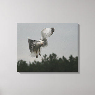 Zig Zag Canvas Print