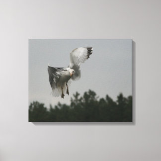 Zig Zag Canvas Print