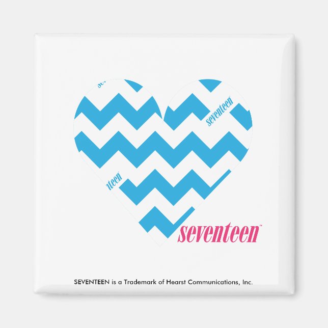 ZigZag Aqua 4 Magnet (Front)