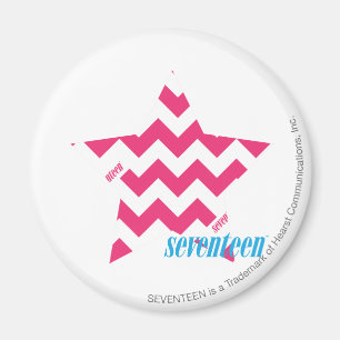 ZigZag Magenta 2 Magnet
