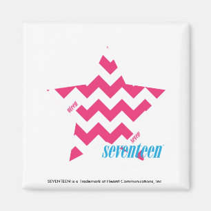 ZigZag Magenta 2 Magnet