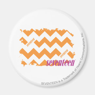 ZigZag Orange 4 Magnet