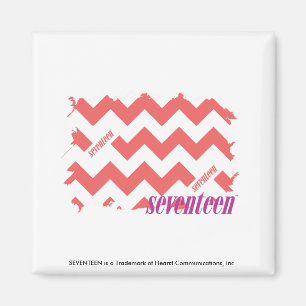 ZigZag Pink 2 Magnet