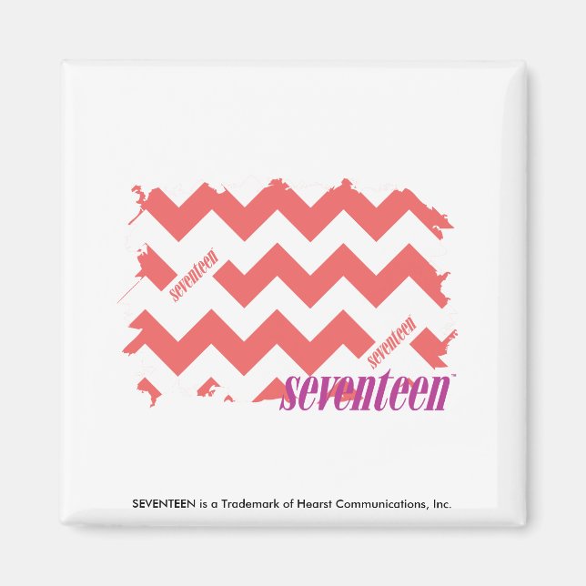 ZigZag Pink 2 Magnet (Front)