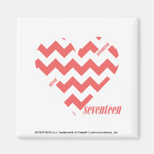 ZigZag Pink 3 Magnet