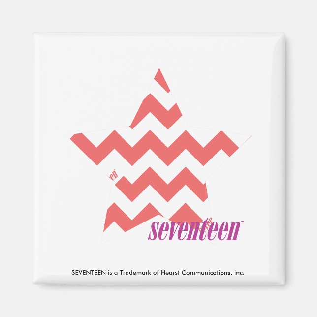 ZigZag Pink 4 Magnet (Front)