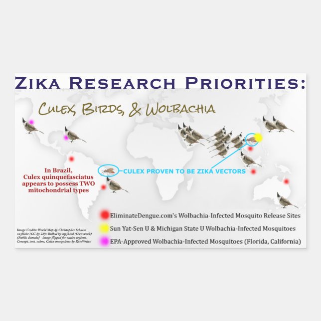 Zika Research Priorities Sticker by RoseWrites (Front)