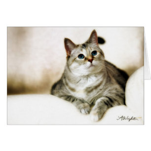 Zilla in Brown Tones