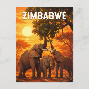 Zimbabwe Illustration Travel Art Vintage Postcard
