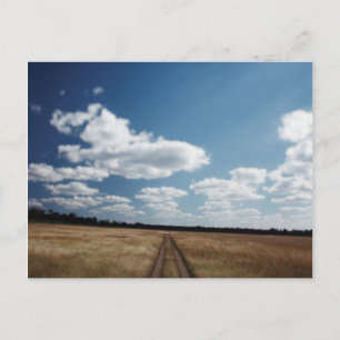 Zimbabwe, View of road near Linkwasha Airstrip 1 Postcard