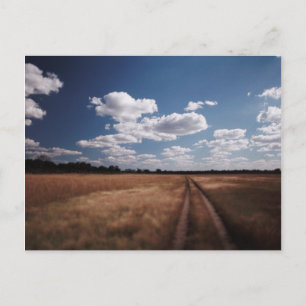 Zimbabwe, View of road near Linkwasha Airstrip 2 Postcard
